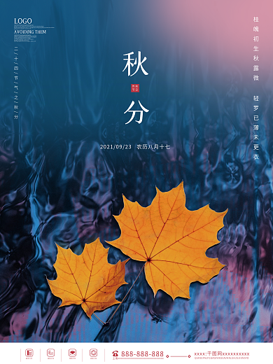 简约创意摄影图秋分落叶朋友圈入秋宣传海报