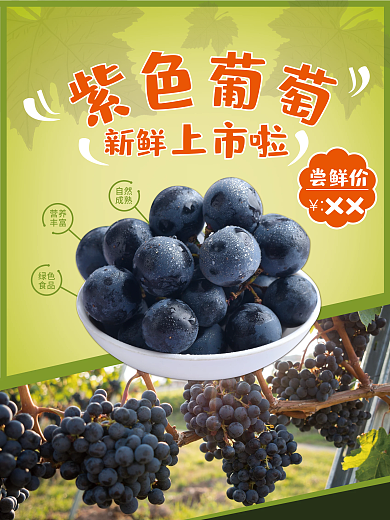 新鲜紫色葡萄海报