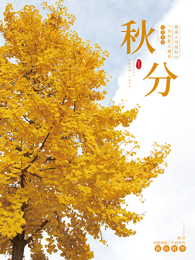 简约留白大气秋分节气宣传海报