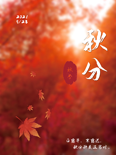 极简节气秋分公益海报