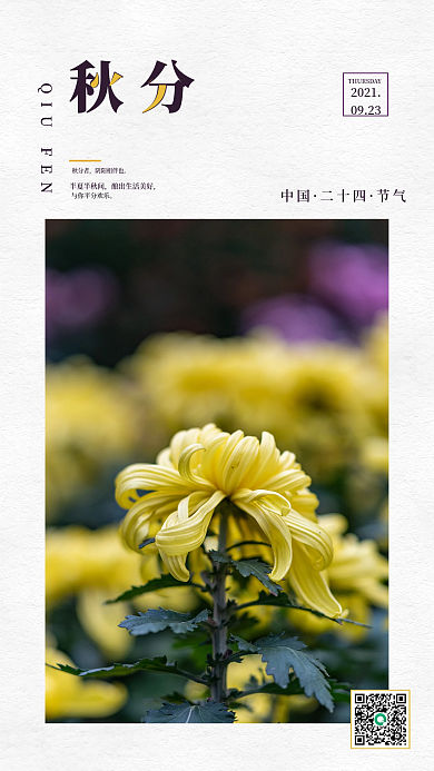 创意二十四节气秋分海报简约海报摄影图海报