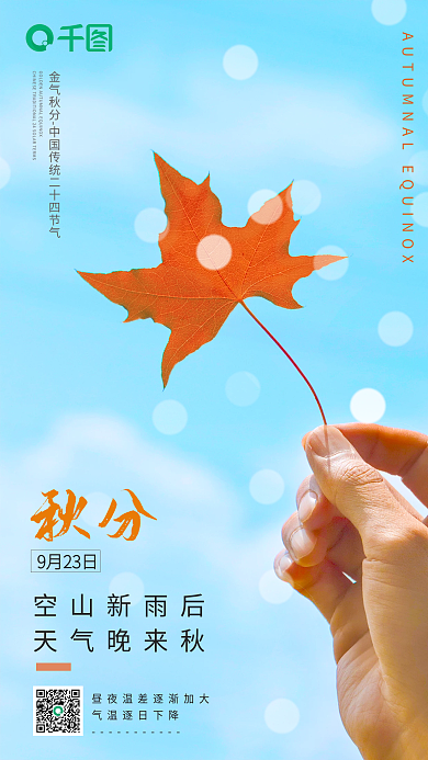 简约秋分节气摄影图手机海报