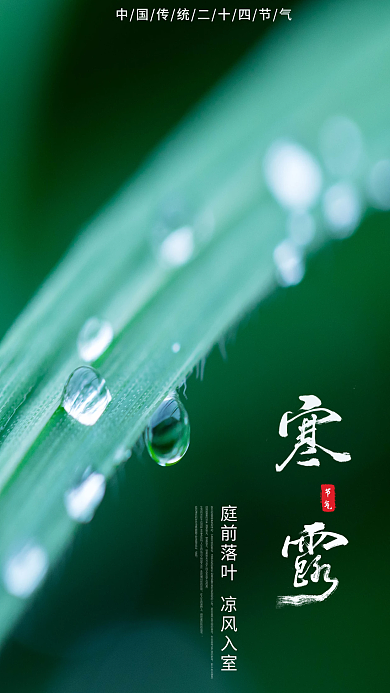 寒露摄影图手机海报