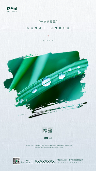 寒露节气植物露水摄影图手机海报