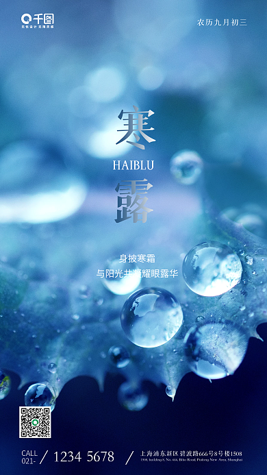 简约风寒露摄影图手机海报