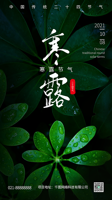 寒露二十四节气叶子露水水滴摄影图手机海报