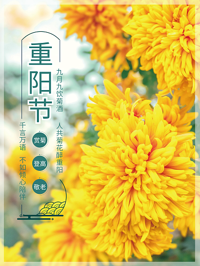 重阳节登高赏菊花海报