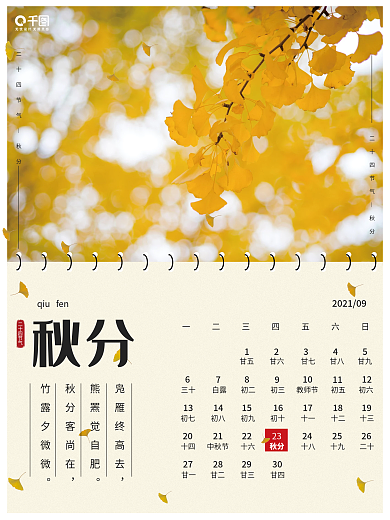 秋季二十四节气秋分黄叶落叶枫叶秋天海报