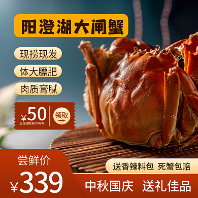 中秋蟹礼阳澄湖大闸蟹螃蟹食品主图直通车