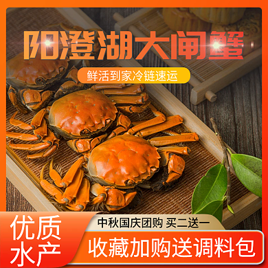 大闸蟹螃蟹梭子蟹生鲜海产主图直通车图模板