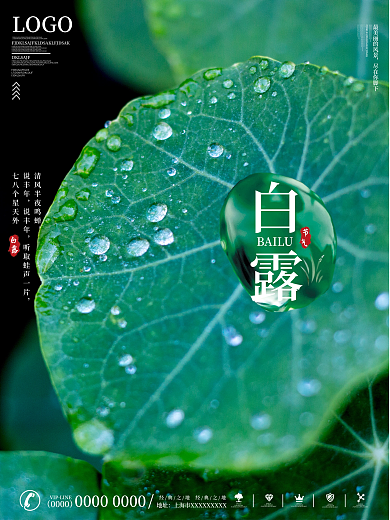 大气简约二十四节气白露节气摄影图海报