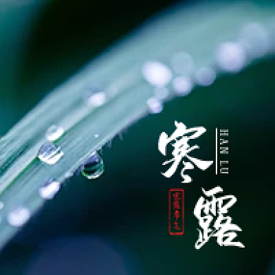 简约寒露公众号次图