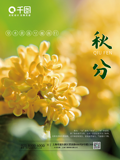 清新绿色中国传统二十四节气秋分海报桂花
