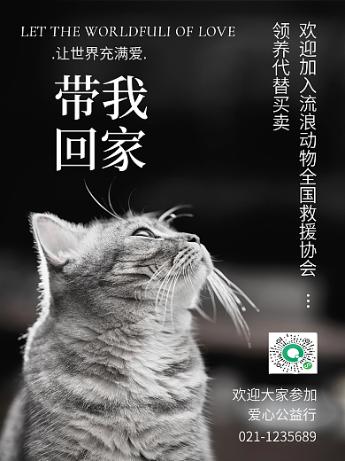 宠物摄影图海报小清新