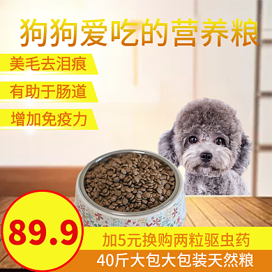 营养又健康的狗粮