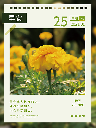 早安DAY每日一签日签宣传海报