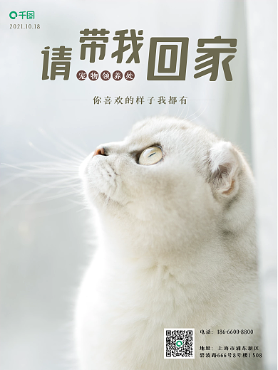 萌萌宠物摄影图海报