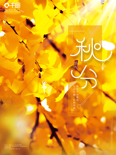 中国传统二十四节气秋分摄影图海报