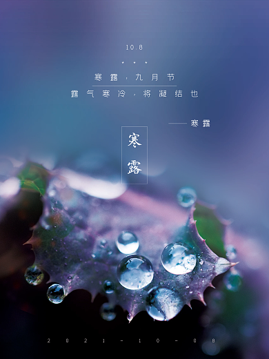 创意合成简约创意寒露摄影图海报