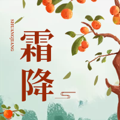 霜降简约柿子节气宣传公众号次图