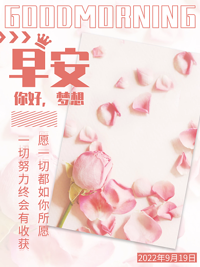 早安励志心语简约粉色玫瑰花背景海报