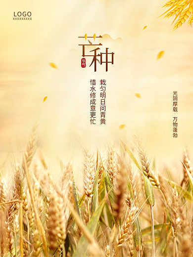 小满芒种立秋节气秋天丰收金黄麦子海报