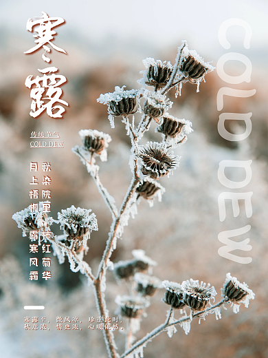 简约创意寒露摄影图海报