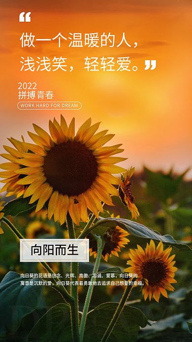 向日葵公司励志宣传梦想积极乐观关键词日签