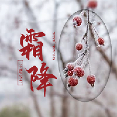 霜降公众号次图简约风