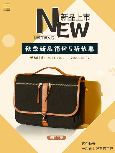 箱包海报 小清新 简约 女士 复古包包