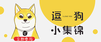 爱宠小集锦公众号封面配图