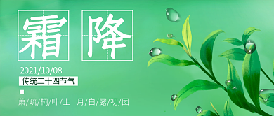 霜降公众号封面