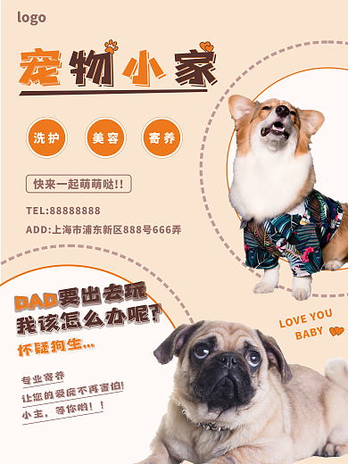 宠物商店寄养海报