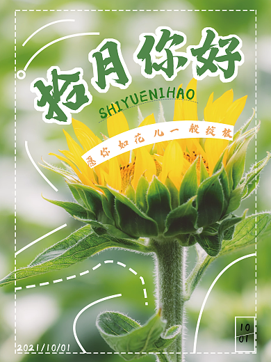 拾月你好愿你如花儿一般绽放