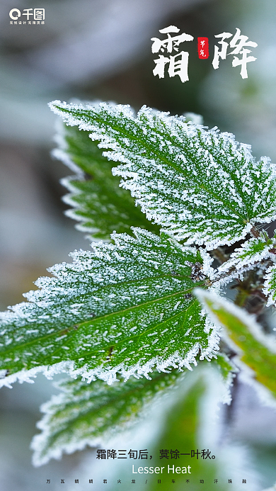 简约留白霜降节日海报