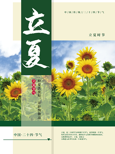 二十四节气立夏节气向日葵简约海报