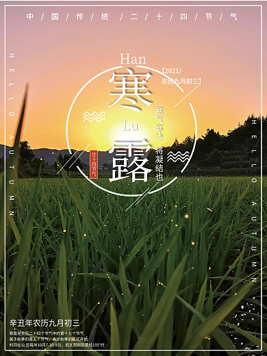 二十四节气寒露节海报