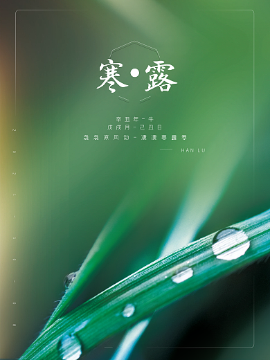 简约留白寒露节日节气海报