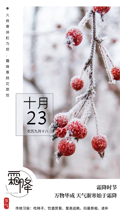 霜降手机海报日签简约风
