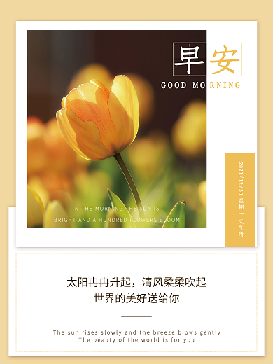 小清新唯美花卉摄影早安海报正能量心语日签