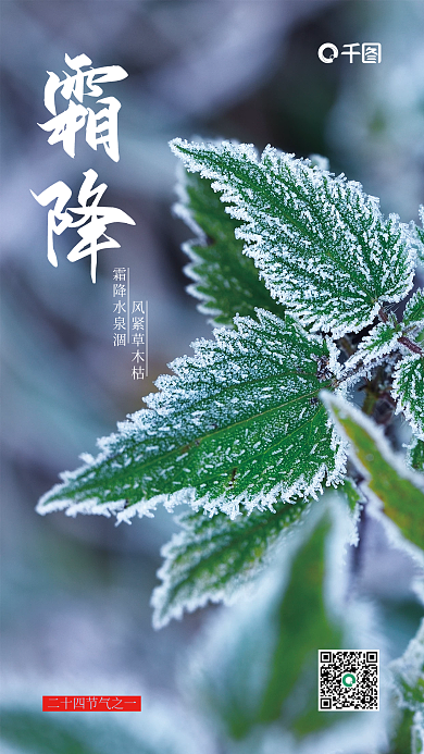 霜降简约风手机海报