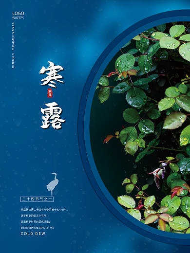 简约传统节气寒露水珠海报