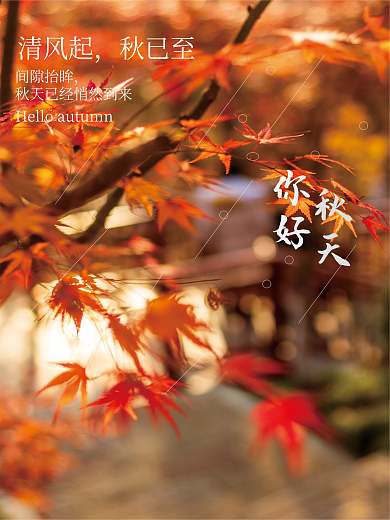 夏日尽头你好秋天