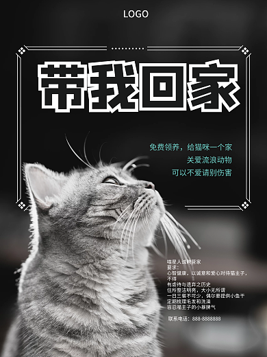 关爱宠物摄影图海报