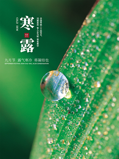 简约留白寒露节日海报