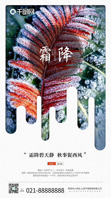 霜降节气树叶摄影图手机海报