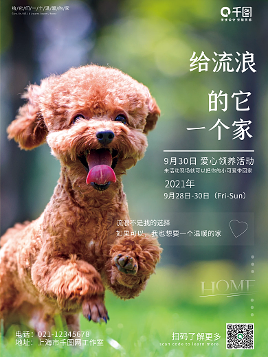 清新简约风宠物摄影图海报