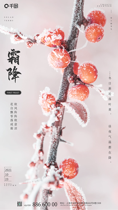 霜降手机海报小清新简约