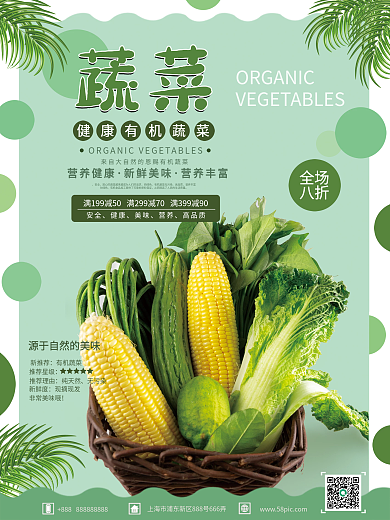 有机蔬菜销售海报