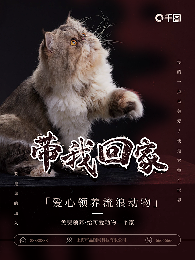 黑色简约可爱宠物领养带我回家公益海报